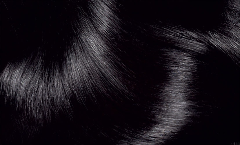 haircolor 1 black excellence creme hair swatch